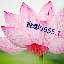 金蝶6655.T