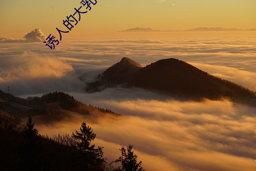 尊龙凯时·(中国)官方网站