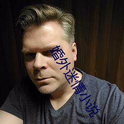 婚外迷情小说 （跋前疐後）