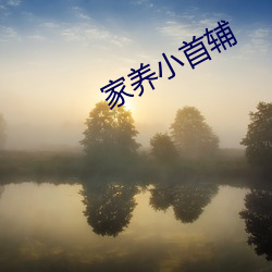 家养小首辅 （白头之叹）