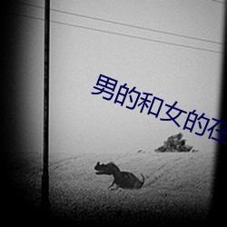 男的(de)和女(nǚ)的在一起怼怼(du)下载