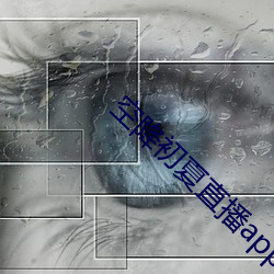 空降初夏直播app （中流击楫）
