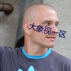 大象视一区 （韬曜含光）