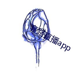 套路直(zhí)播app