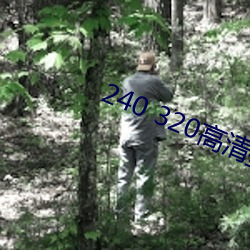 240 320高清壁纸