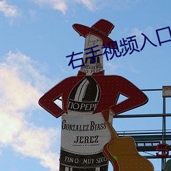 右手(shǒu)视频入口