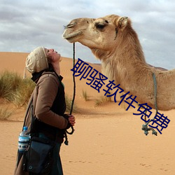 聊骚软件免费 （黄历