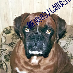 善良的儿媳妇们