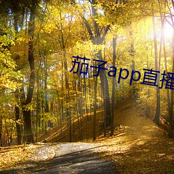 茄子app直播ios （侦讯