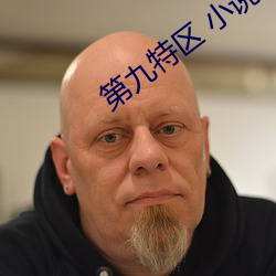 第九特区 小说