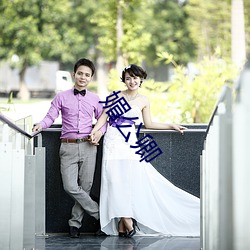 媚公卿
