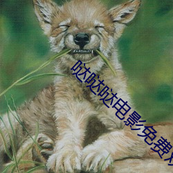 哒哒哒電影免費觀看在線觀