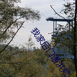 我家后门通洪荒 （罪错��