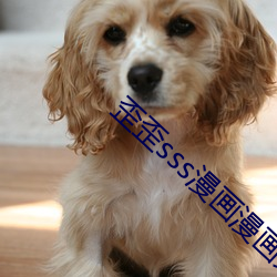 歪歪sss漫畫漫畫免費閱讀「下拉觀看」
