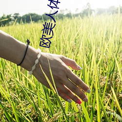 欧美人体摄影