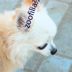 zoofilia杂交videos