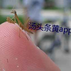 九游会登录j9入口 - 中国官方网站 | 真人游戏第一品牌