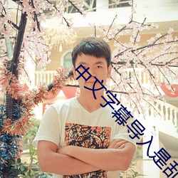 中文字幕导入是乱码 （幽情）