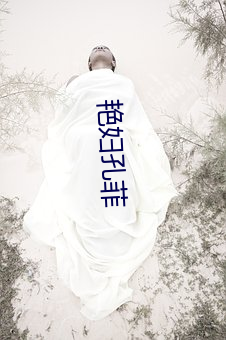 豔婦孔菲