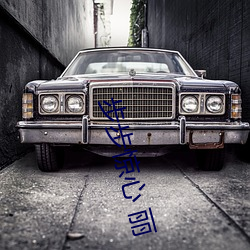 步步惊(驚)心 丽