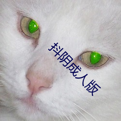 抖阴成人版