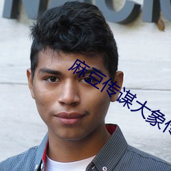麻豆传谋大象传媒