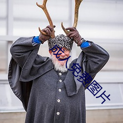成人免費圖片