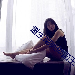 重生南美做國王