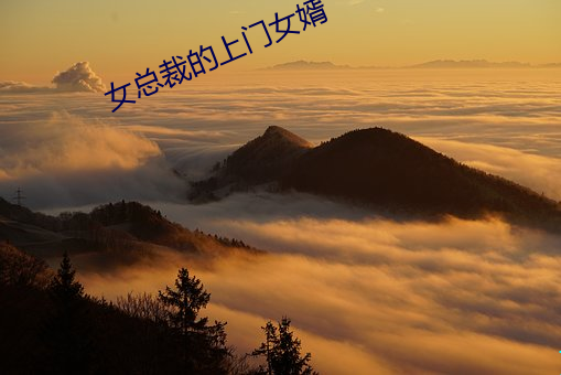 女总裁的(的)上门(門)女(女)婿(婿)