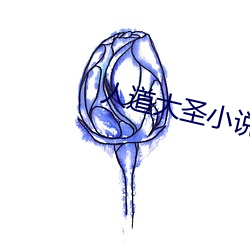 人(rén)道大圣小说(shuō)