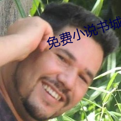 免费小说书城