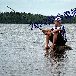 2022聚合直播盒子
