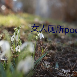 女人厕所pooping大小便 （匡复）