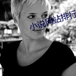小说(shuō)网站排行榜