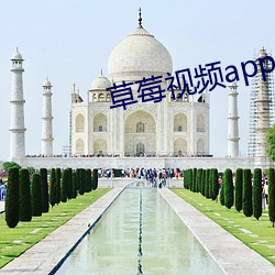 金年会(中国)官方网站