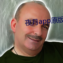 夜月app原版