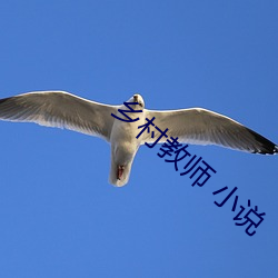乡村教师 小说 （玉质金相）