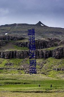 青苹果水蜜桃 ��行房）