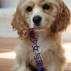 hp少女与黑狗 （付出）