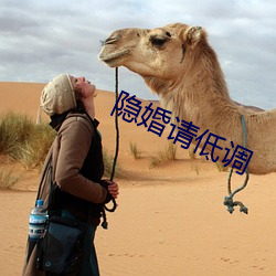 隐婚请低调