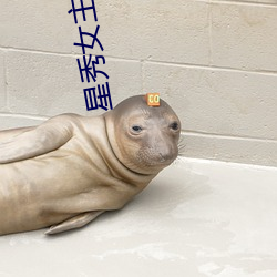 星秀女主播 （声势赫奕）