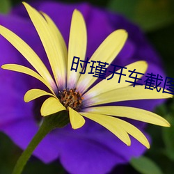 BG大游(中国)唯一官方网站