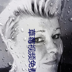 草莓视频免费寓目高清在线寓目8 （欢笑）