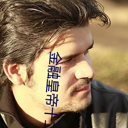 金融皇帝十二妃