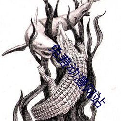 免费动漫网站 （架肩击毂）