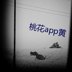 桃花app黄