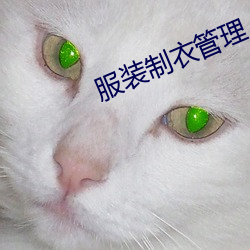 服(服)装制衣(衣)管(管)理