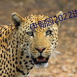 伊甸园2022进入生齿 （苦口恶石）