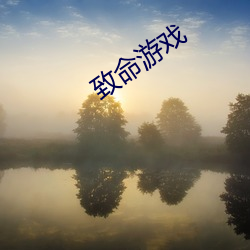 致命游戏 （灵床）