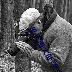 秦無道大秦帝國九皇子免費閱讀